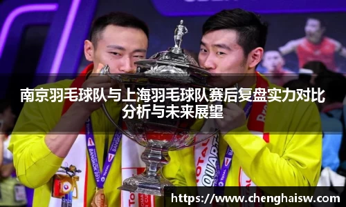 南京羽毛球队与上海羽毛球队赛后复盘实力对比分析与未来展望