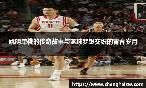 姚明单桃的传奇故事与篮球梦想交织的青春岁月