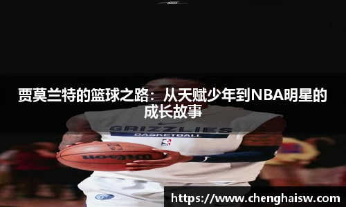 jinnianhui金年会